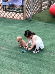 -萌宠亲子动物乐园(槐房万达店)