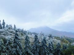 -金子山原生态旅游风景区