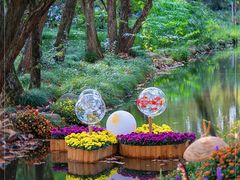 -上海共青森林公园