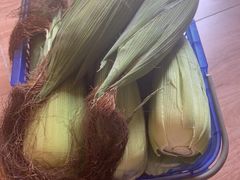 -南汇新场正宗水蜜桃采摘