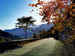 -碓臼峪自然风景区