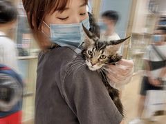 -屋虎猫馆(宝安大仟里店)