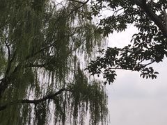 -大宁公园