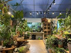 -自由生长植物工作室(深港花卉中心店)