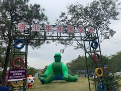 -大塘金香草谷