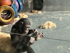 -无锡动物园·太湖欢乐园