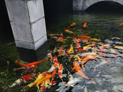 -长春观
