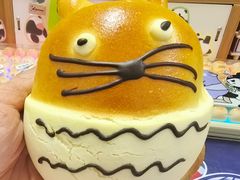 -多乐之日(公益西桥店)