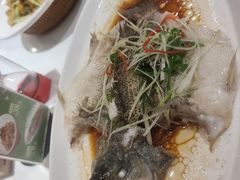 -大鸽饭(马王堆店)