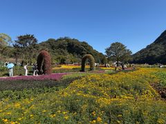-广州市石门国家森林公园
