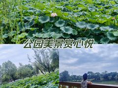 -渭滨公园