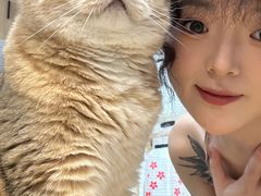 -柴迷FANS CLUB·柴犬狗咖·猫咖