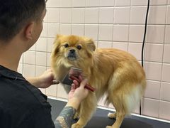 -FAELING PETS美天灵宠物(富力广场店)