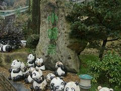 -大明山自然探索公园