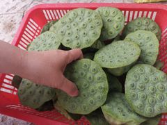 -梁鸿国家湿地公园