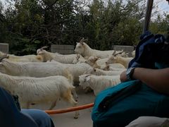 -白草畔自然风景区