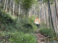 -东明山森林公园