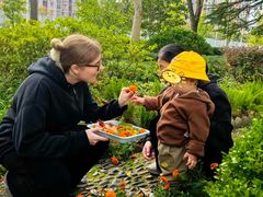 -豆初托育园 Baby Bean Day care Center