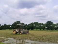 -嘉北郊野公园