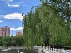 -莲花池公园