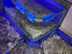 -青蓬蒸汽海鲜·深圳老字号·团建聚会(壹方城店)