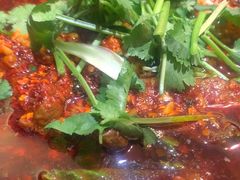 -土桥手掌鸡·26年灌县老味道(都江堰店)