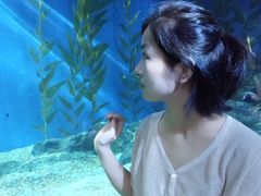 -暹罗海洋世界