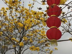-红山村