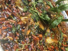 杨记招牌鱼-杨记隆府(时代天街店)