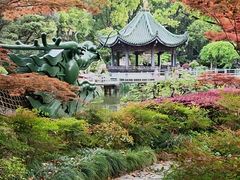 -申粤轩酒楼·三十年粤菜经典(丁香花园店)