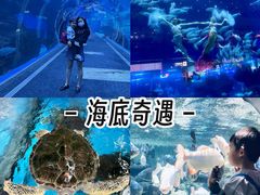 -成都浩海立方海洋公园