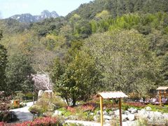 -黄山温泉国际旅游度假区