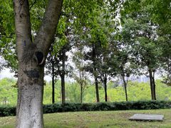 -眉山湿地公园(东坡区)