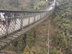 -娄山关景区