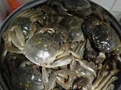 -韩家墅海吉星农产品批发市场