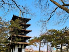 -北京世界公园