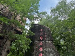 -汤旺河林海奇石景区