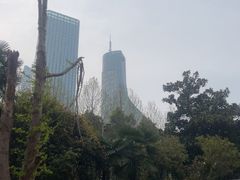 -安徽广播电视台