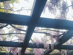 -北京市劳动人民文化宫(太庙)