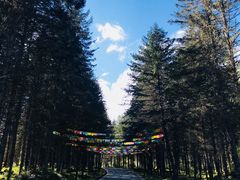 -硗碛藏寨·神木垒景区