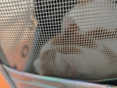 -宠颐生中康贝怡动物医院