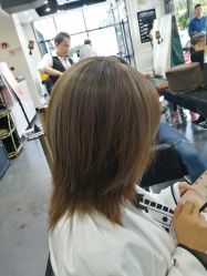 -风向标WIND VANE SALON