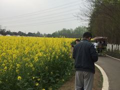 -桤木河湿地公园