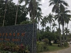 -东郊椰林