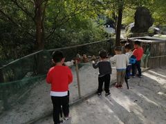 -穹窿山景区