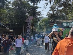 -野象谷景区