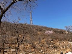 -白水寺森林公园
