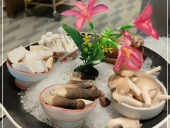 -新一哥粤菜火锅(瑞金店)