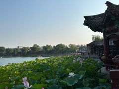-后海公园