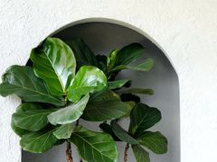 大堂-赵小姐丨新中餐(曲江店)